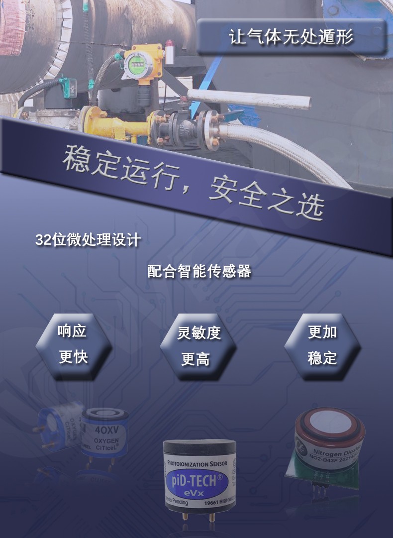 氧气含量检测仪 在线式